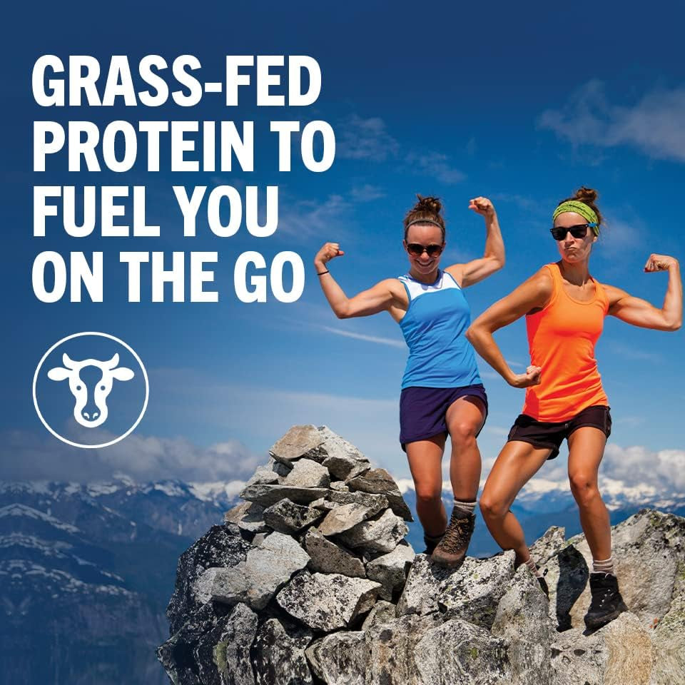 Clean Protein Shake, Grass Fed Dairy, Vanilla Bean - 20G Whey High Protein, Kosher, Ready to Drink, Low Net Carbs, Gluten Free, No Soy Ingredients, 11 Fl Oz (Pack of 12)