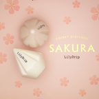 Sakura – Accessoire pour cafetière à filtre en céramique, débit rapide