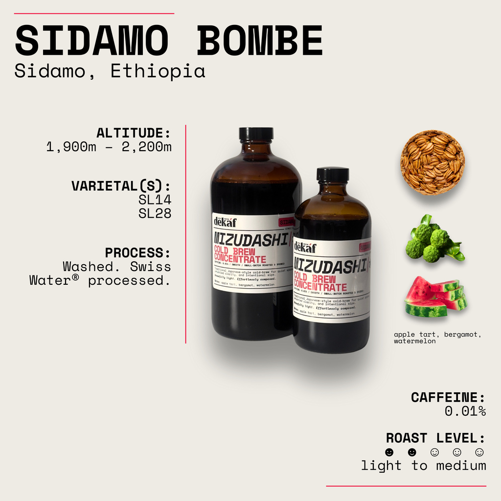 Concentré de café infusé à froid Sidamo Bombe Mizudashi d'Éthiopie
