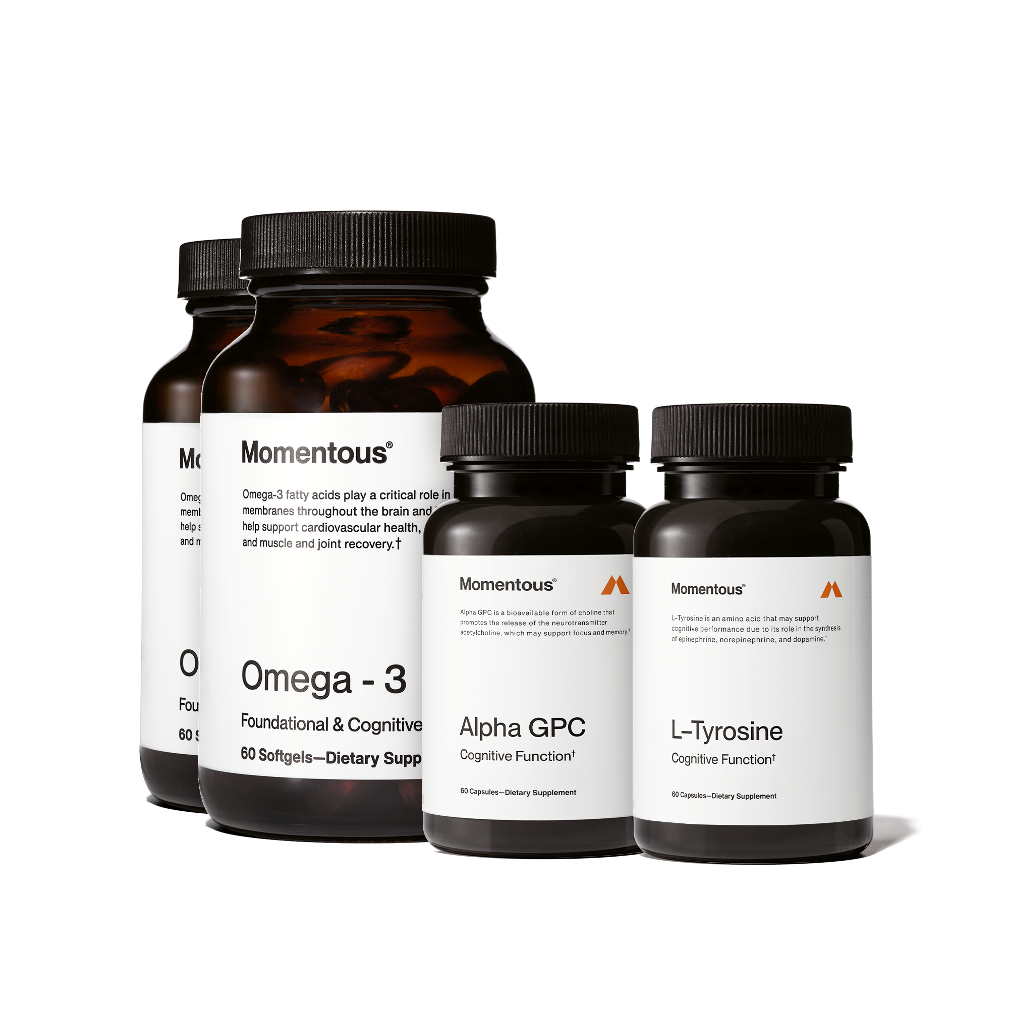 Focus & Cognition Stack