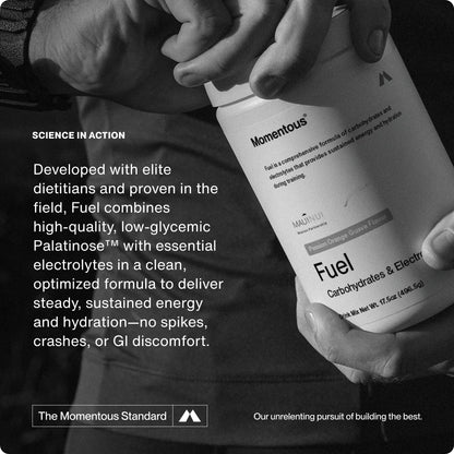 Fuel