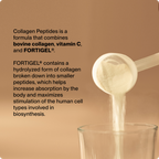 Collagen Peptides