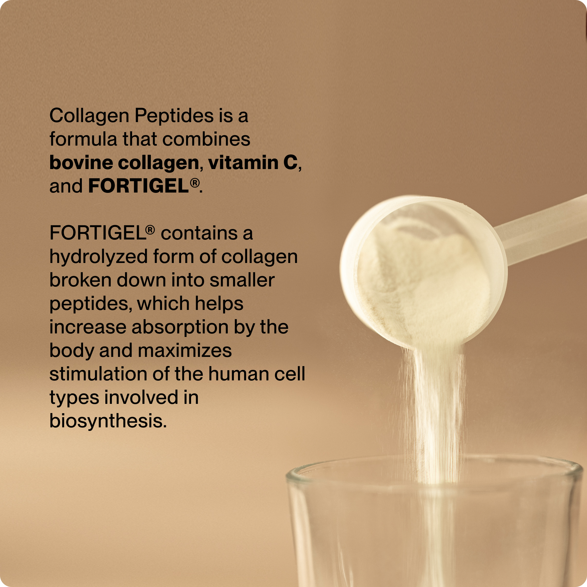 Collagen Peptides