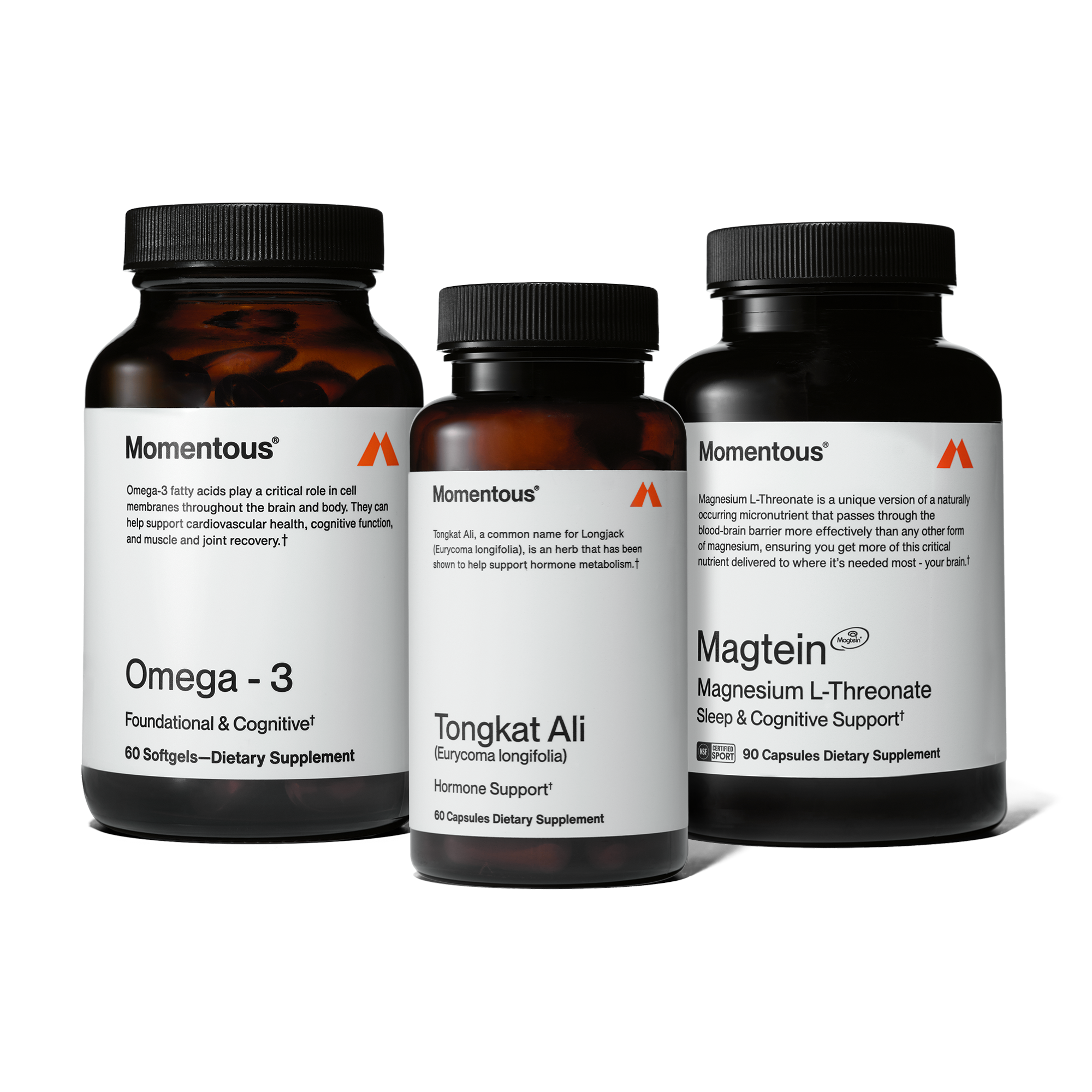 Brain, Body, and Sleep Stack