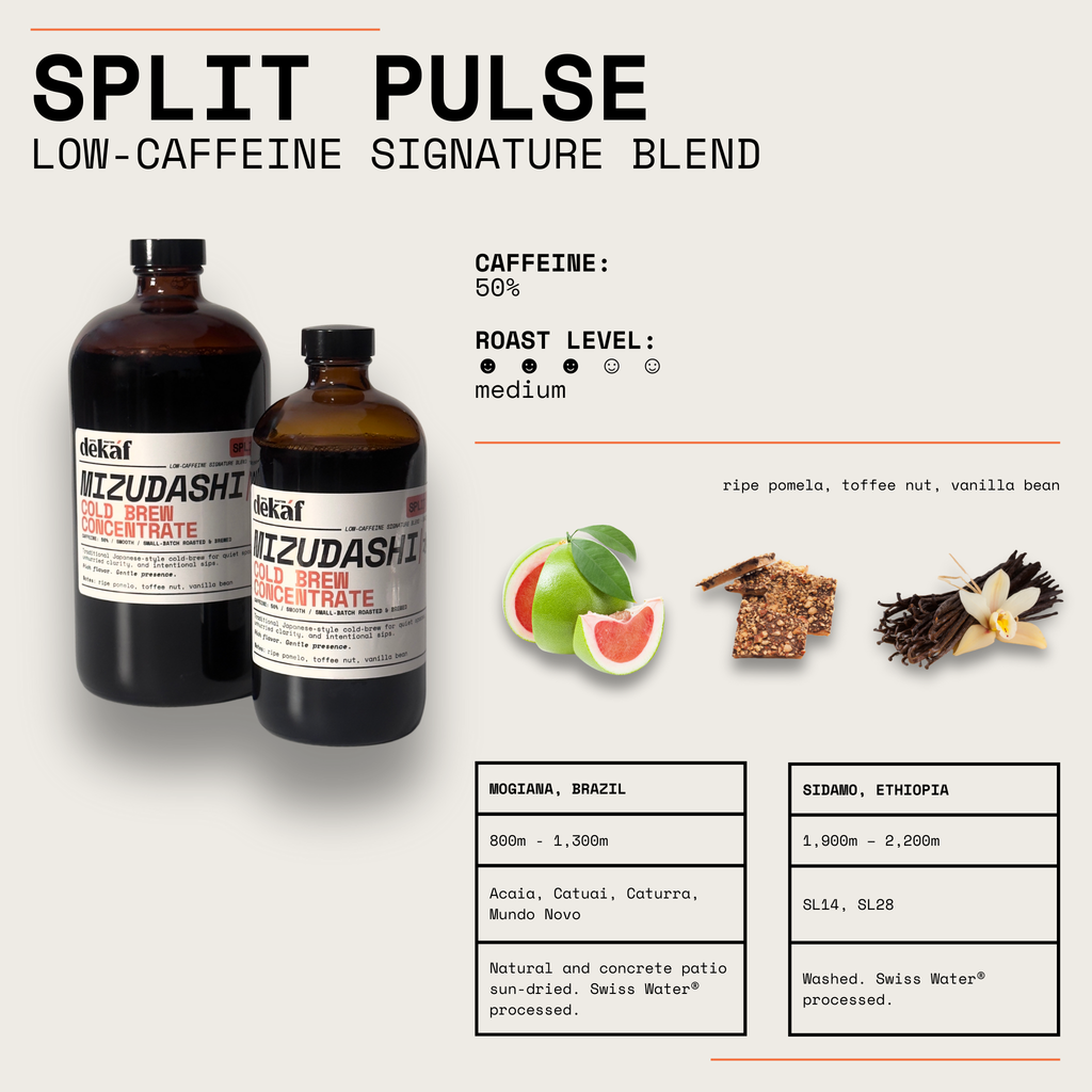Concentré de café infusé à froid Split Pulse Mizudashi