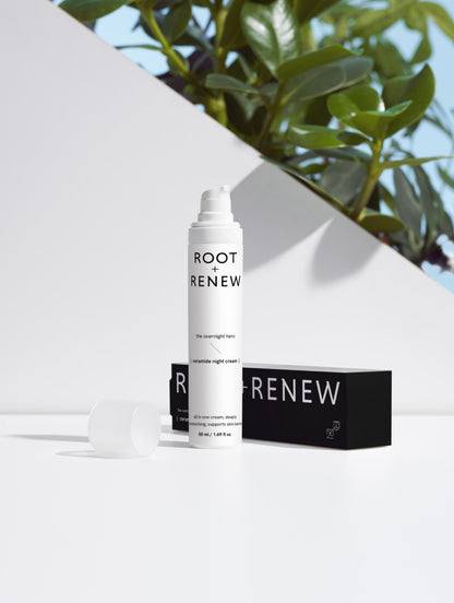 The Overnight Hero — Hydrating Night Cream
