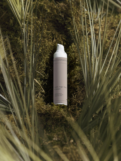 Anti-Ageing Collection Box