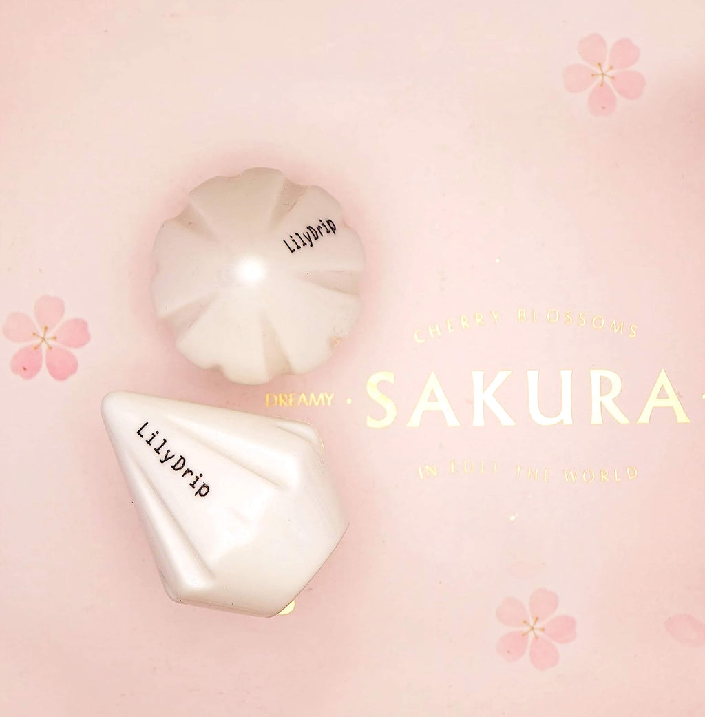 Sakura – Accessoire pour cafetière à filtre en céramique, débit rapide