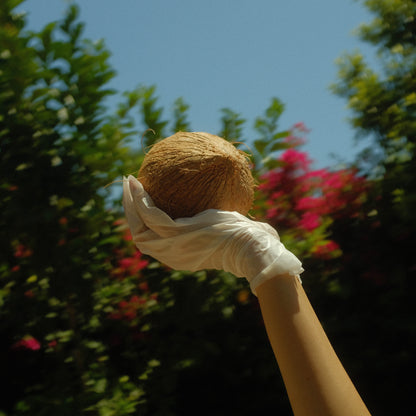 Lapcos Coconut Milk Hand Mask