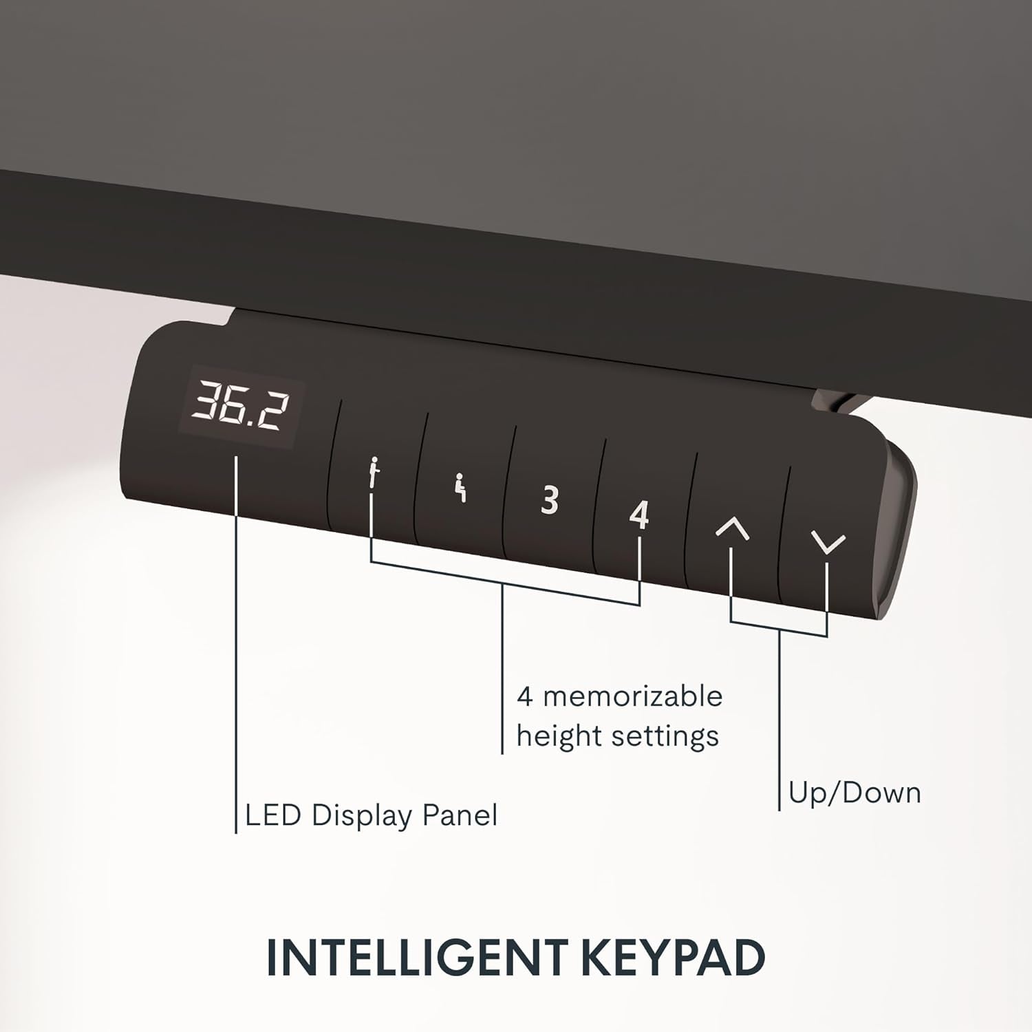 Height Adjustable Electric Standing Desk with Ergonomic Workspace