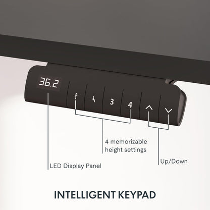 Height Adjustable Electric Standing Desk with Ergonomic Workspace