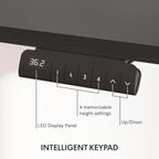 Height Adjustable Electric Standing Desk with Ergonomic Workspace