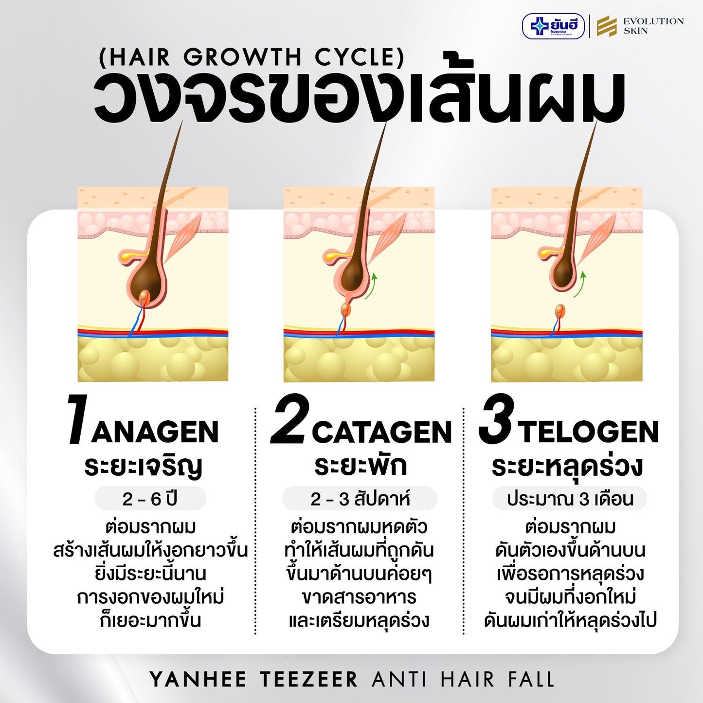 Yanhee Teezeer Shampoo 200 ml